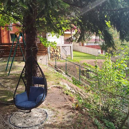 Sezatoarea Lupilor Vila Lepşa Exterior foto