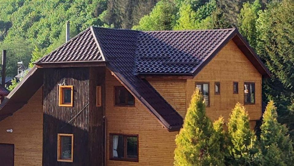 Sezatoarea Lupilor Vila Lepşa Exterior foto