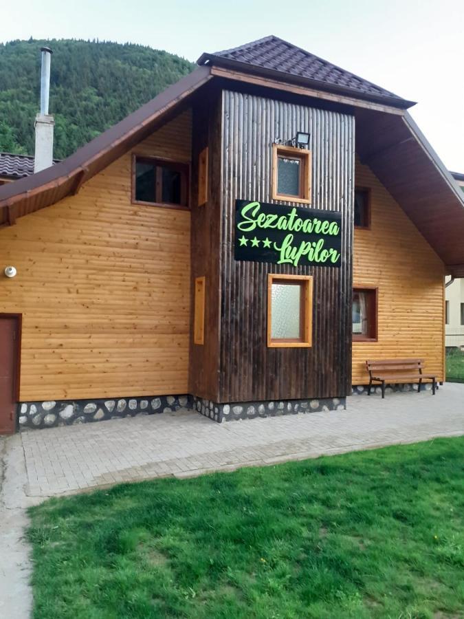 Sezatoarea Lupilor Vila Lepşa Exterior foto