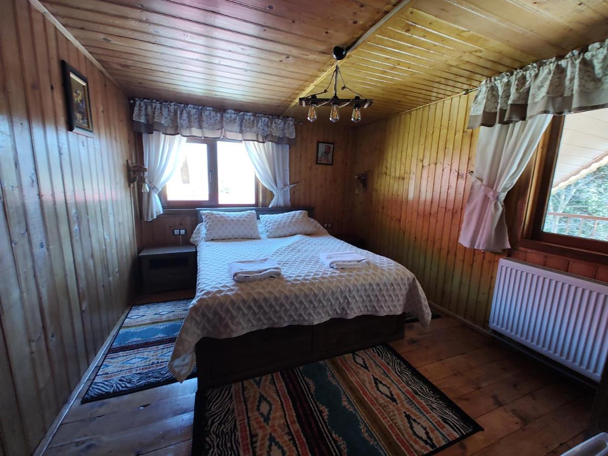 Sezatoarea Lupilor Vila Lepşa Exterior foto
