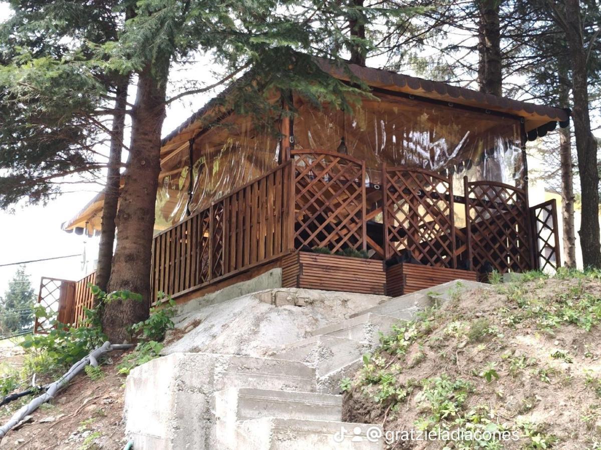 Sezatoarea Lupilor Vila Lepşa Exterior foto