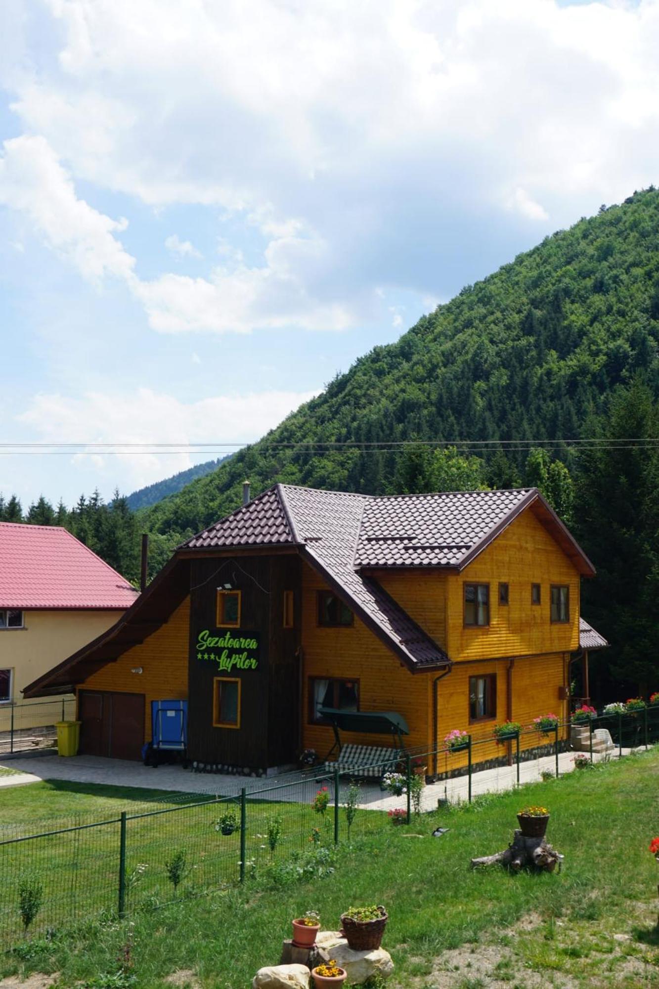 Sezatoarea Lupilor Vila Lepşa Exterior foto